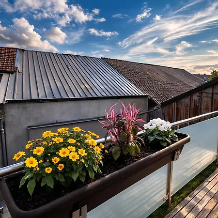 Hidden Gem Near The Moselle River 아파트 *