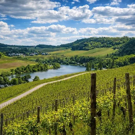 Hidden Gem Near The Moselle River Apartment *