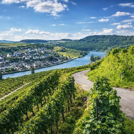 Apartment Hidden Gem Near The Moselle River Grevenmacher
