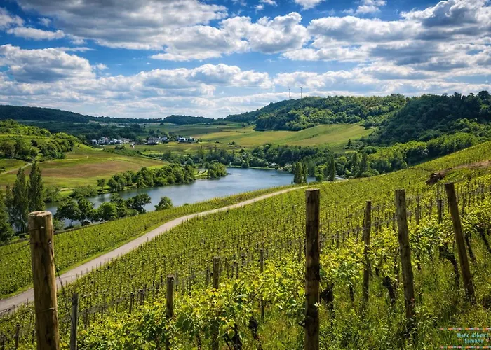 Hidden Gem Near The Moselle River Apartamento *