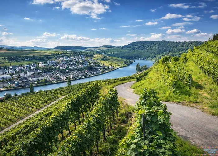 Apartment Hidden Gem Near The Moselle River Grevenmacher